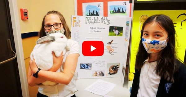 Science Fair and Expo video