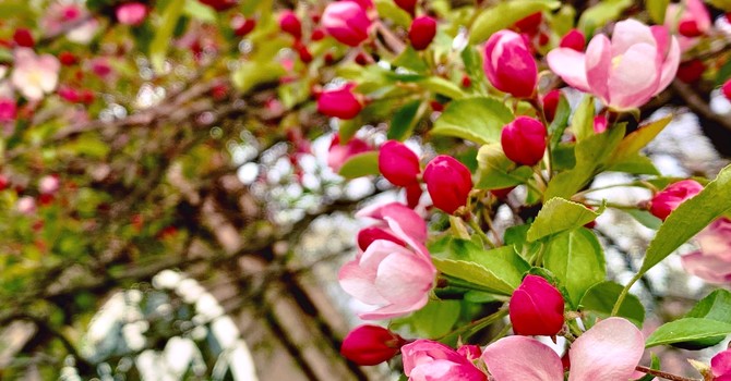 Weather Update image