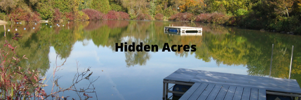 Personal Retreats and Family Getaways