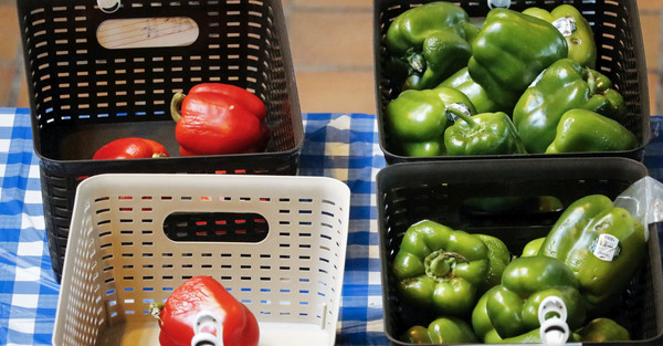 Cathedral Manna Market 