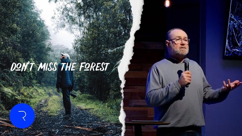 Don't Miss The Forest