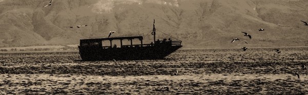 Cathedral Newsletter for July  25th, 2021