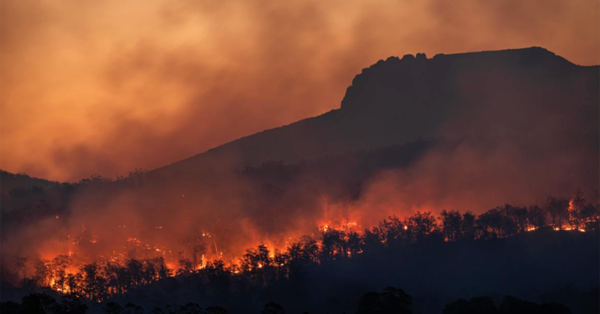 Diocese Encouraged to Support Victims of BC Wildfires