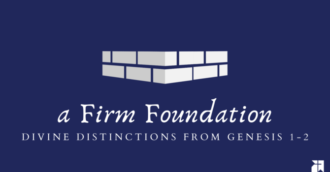 A Dead Gorilla and the Image of God image