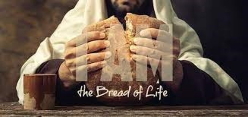 Eleventh Sunday after Pentecost