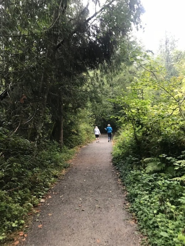 Nature Walks