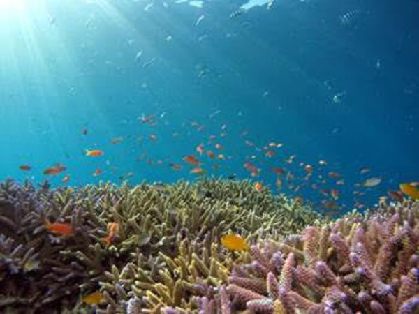 Breathing Under Water