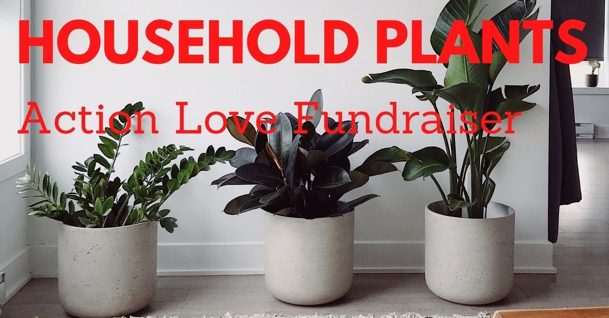 Ongoing Action Love Plant Fundraiser Action Love 19twenty church