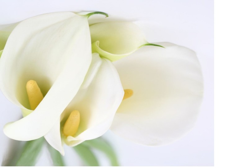 6th Sunday of Easter