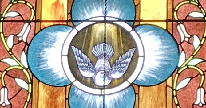 Stewardship & Administration