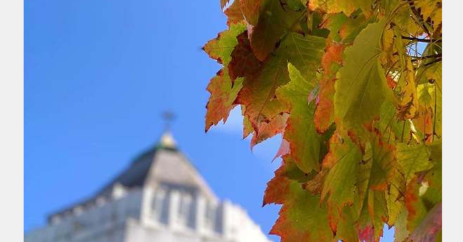 Link to the October 21, E-News image