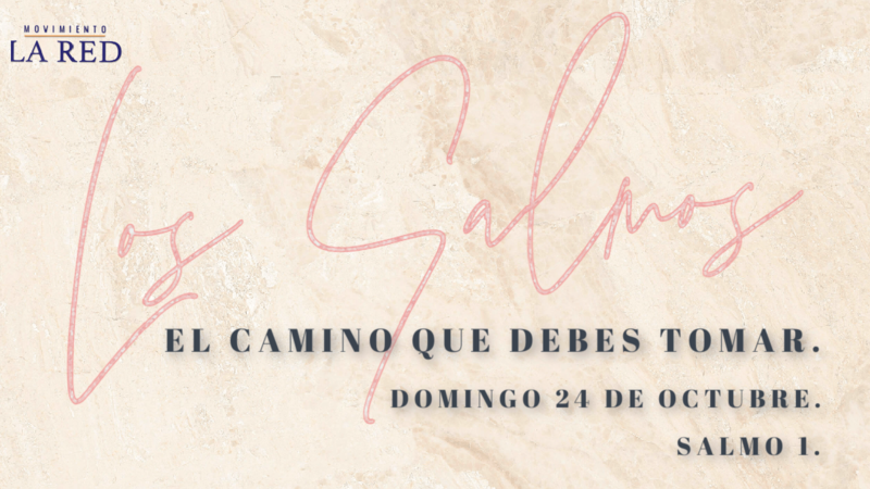 El camino que debes tomar
