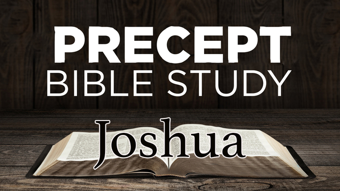 precept-studies-rowland-springs-baptist-church