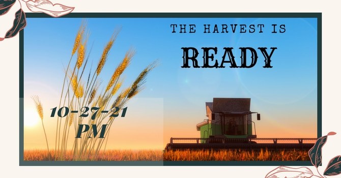 "The Harvest Is Ready"