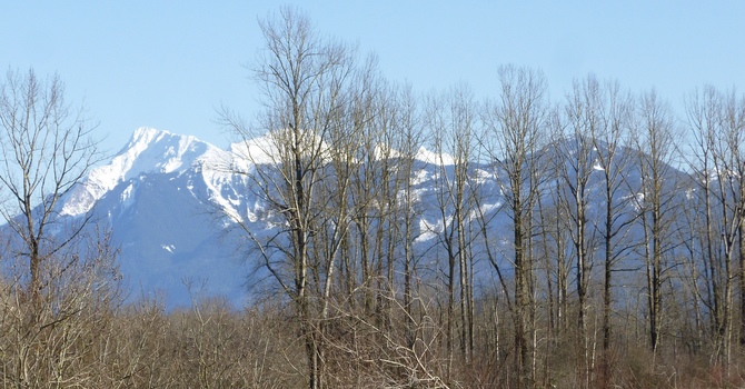 Survey:  "Being the Church Without the Building" image