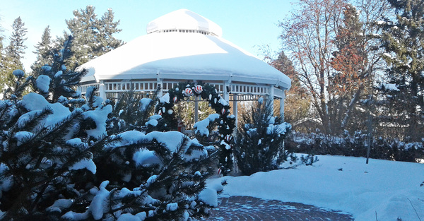 Coming up at Star of the North Retreat Centre