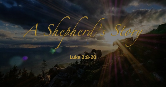 A Shepherd's Story