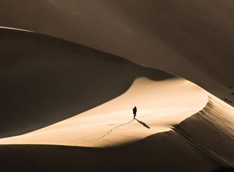 A Voice in the Wilderness