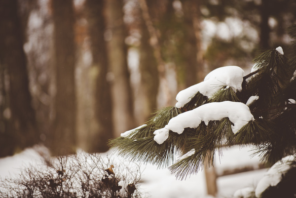 WARM WINTER CLOTHING