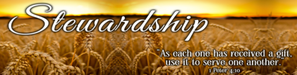 Stewardship and Finance