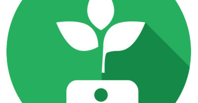 NEW FOG App & Giving Coming! image