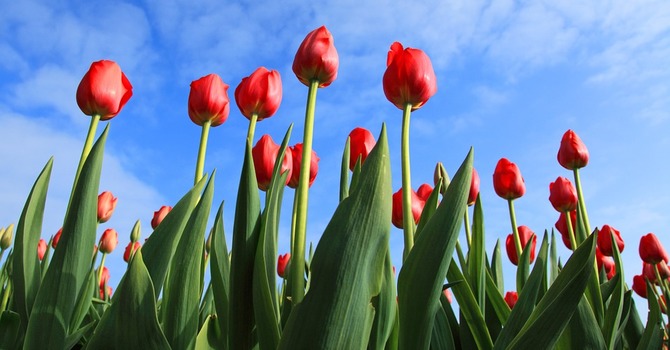 More Outdoor Worship Days Coming! image