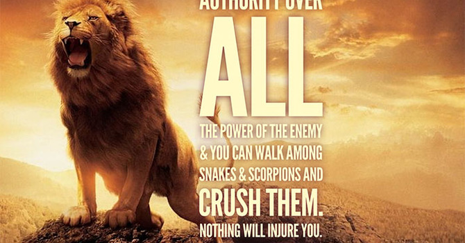 Authority of the Believer Series image