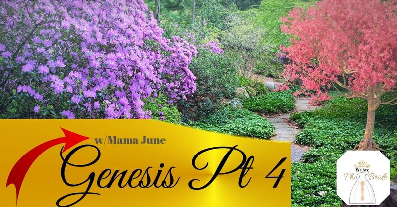 Book of Genesis Pt 4