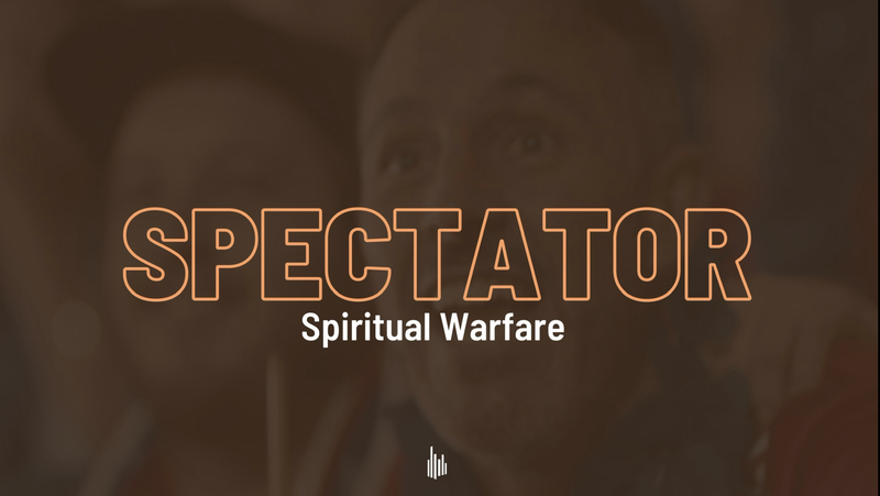 Spectator