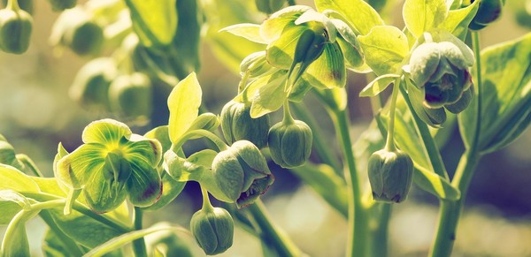 The week of February 6, 2022