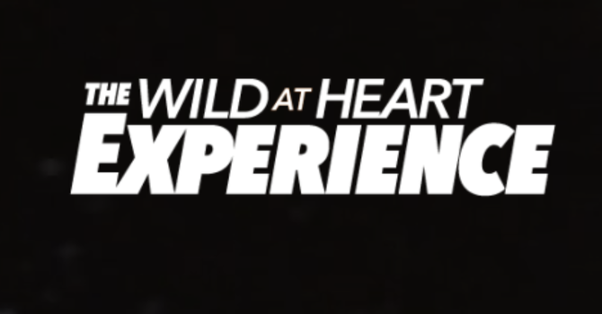 Wild at Heart Experience  - City Group