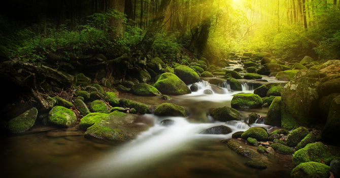 LifeSpring International Ministries