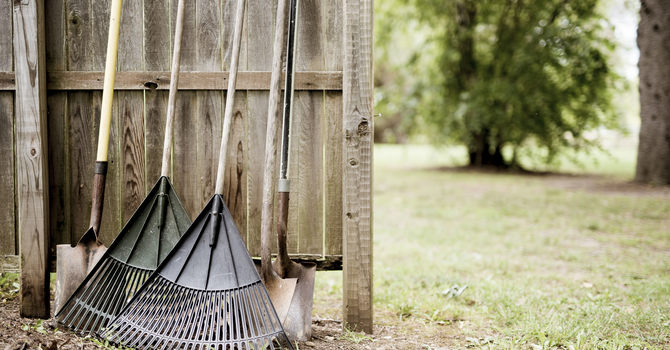 Advent Property Work Day