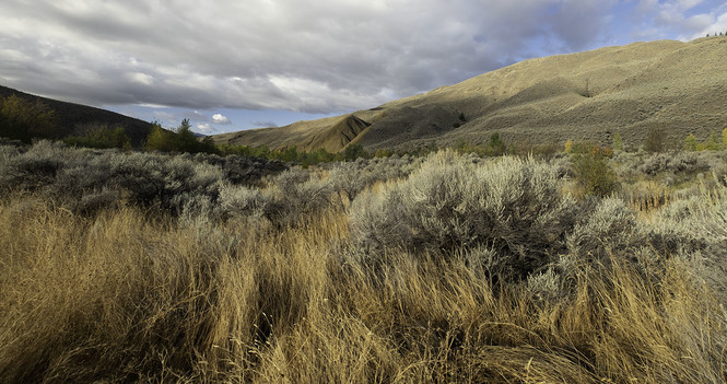 Bishop's Pastoral Response: Rising Denialism