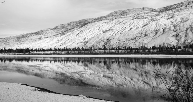 Bishop's Pastoral Response: Rising Denialism