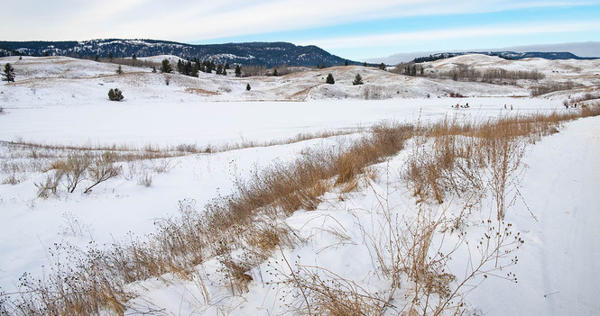 Bishop's Pastoral Response: Rising Denialism