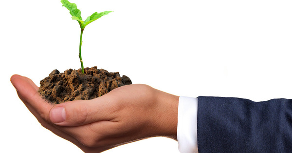 Eco-Anxiety and Biblical Wisdom