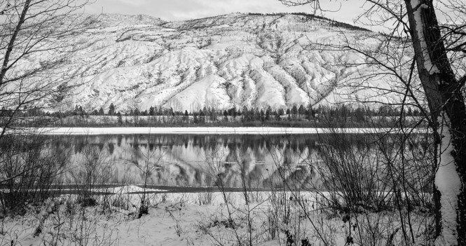 Bishop's Pastoral Response: Rising Denialism