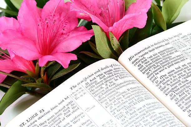 All Saints Lutheran Church