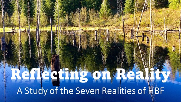 Reflecting on Reality