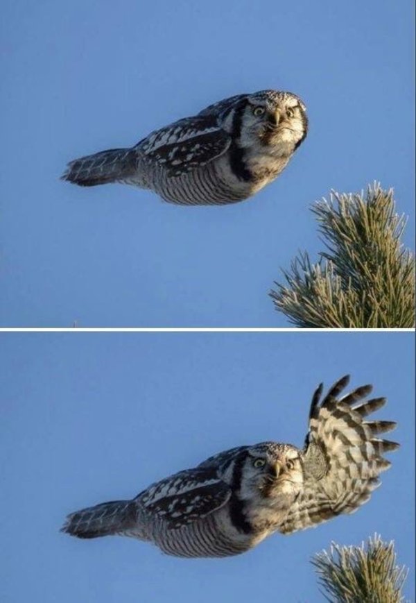 Actual photo of the holy spirit...on her way to comfort someone.
