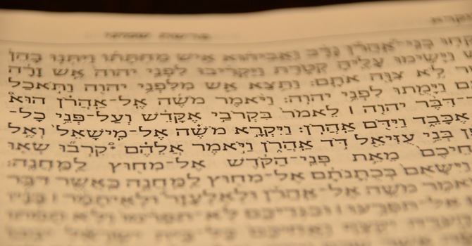 Torah Study