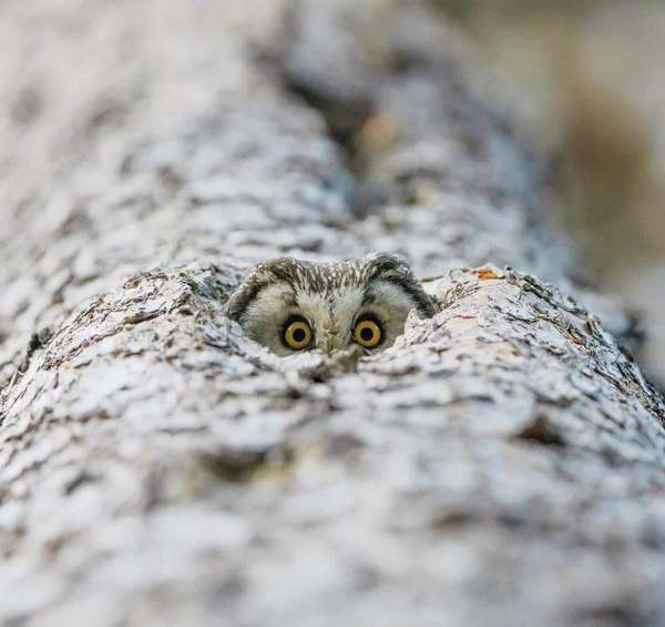 Actual photo of the holy spirit...She's not hovering. She's just worried about you, that's all.