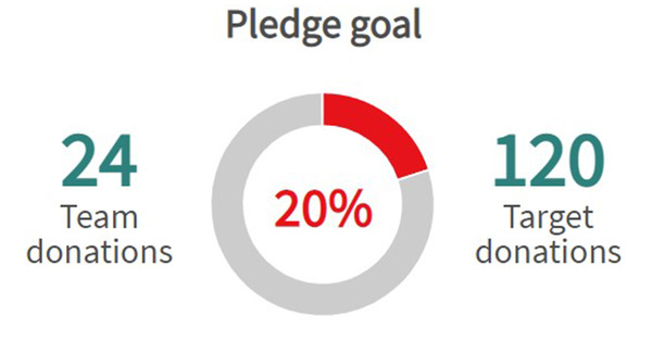 Team Anglican Making Life-giving Donations 