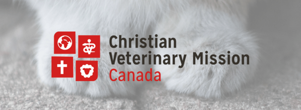 Opportunity to Get Involved