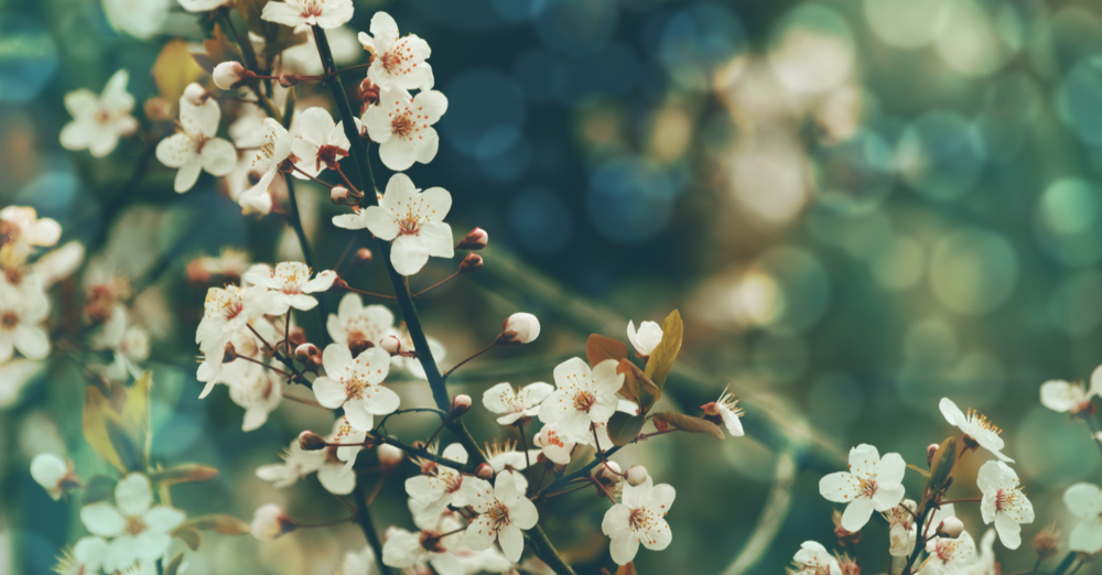 Easter Sunday Service