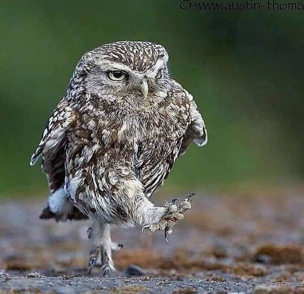 Actual photo of the holy spirit...marching over to your sorry-ass self to remind you that you are fearfully and wonderfully made.