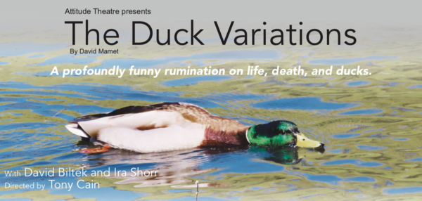 The Duck Variations