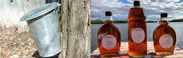 Maple syrup sales provide support to the Cathedral