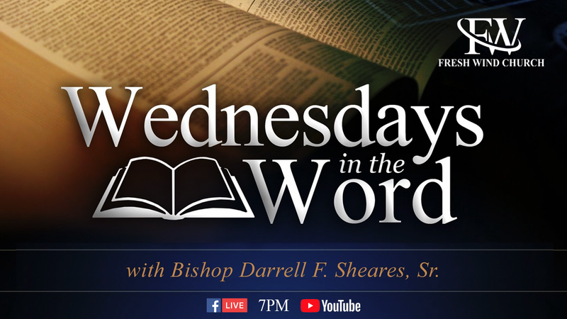 Ruth Chapter 1:15-18